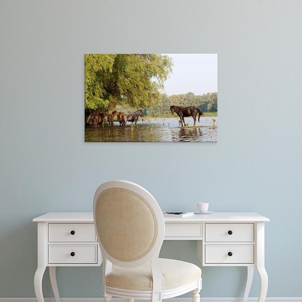 Easy Art Prints Martin Zwick's 'The Free Roaming Horses Of Maliuc' Premium Canvas Art