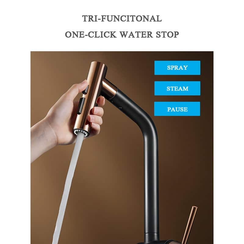 HIGOLD Kitchen Faucet with Pull Down Sprayer, Cold & Hot Water Function