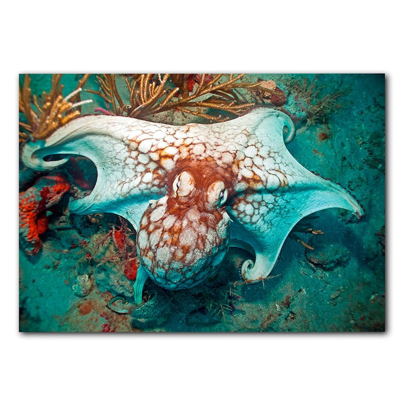 Ready2HangArt 'Octopus' Wrapped Canvas Wall Art