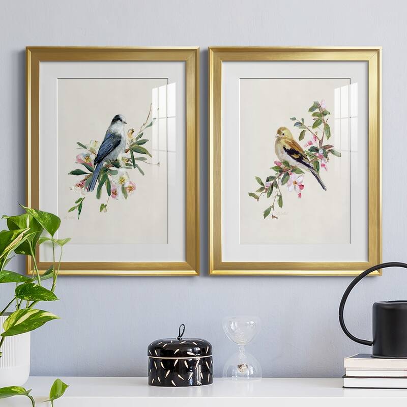 Spring Song Gray Jay Premium Framed Print - Ready to Hang