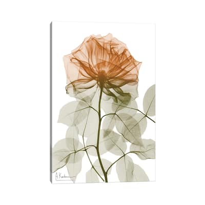 iCanvas "Urban Jungle Rose I" by Albert Koetsier Canvas Print