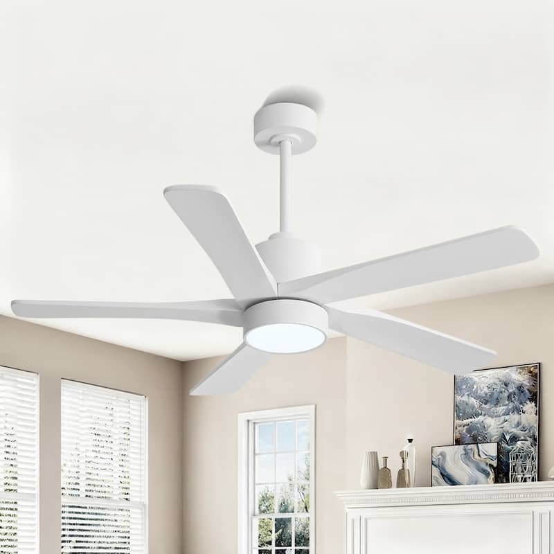 WINGBO 54" and 64" 5 ABS Blades DC Motor Indoor Ceiling Fan with Light & Remote