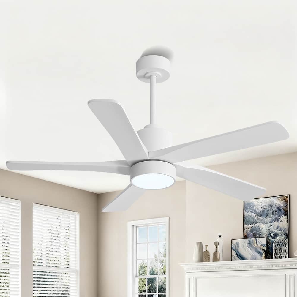 WINGBO 54" and 64" 5 ABS Blades DC Motor Indoor Ceiling Fan with Light & Remote