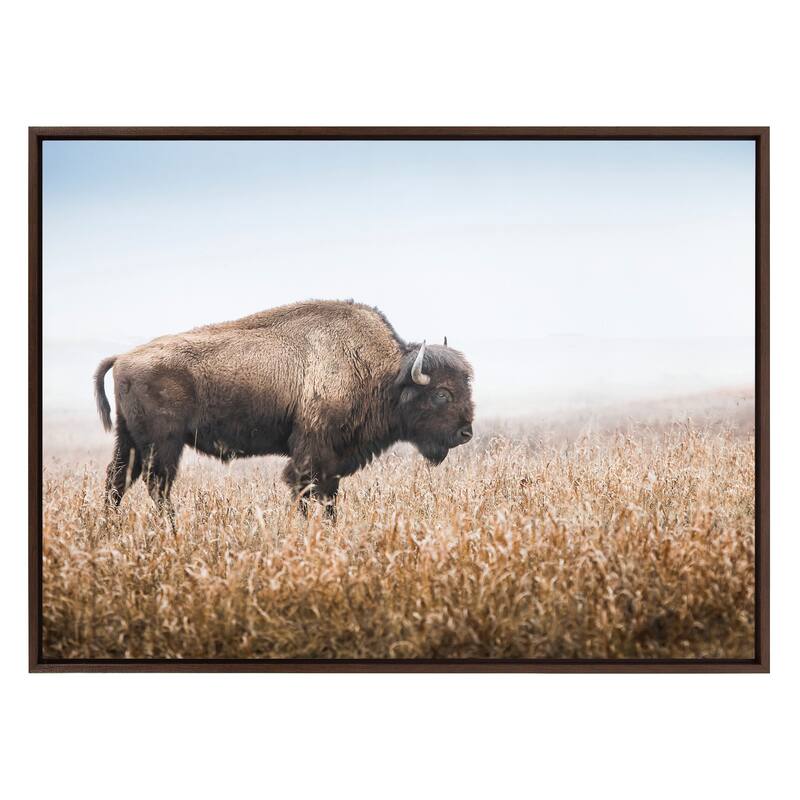 Kate and Laurel Sylvie Buffalo Grass Framed Canvas by Warren Metcalf