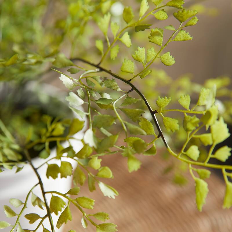 Maidenhair Drop-In 30" - Green