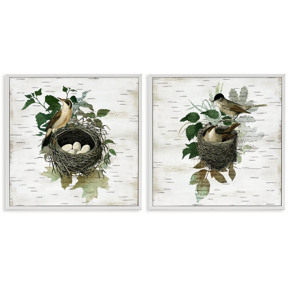 Stupell Rustic Vintage Bird Nests Framed Giclee Art Design By Susan Arnot (Set of 2)