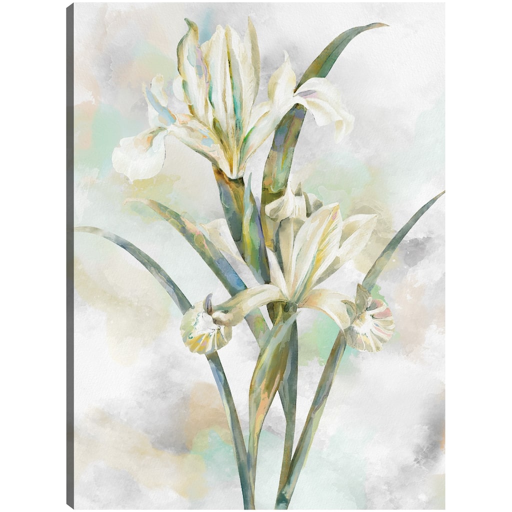 Botanical Whispers II By Studio Arts Canvas Art Print