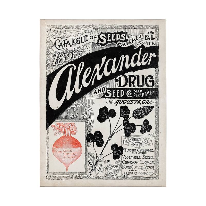 Antique Seed Packet XIV (30 x 40) Canvas Art Print - Small