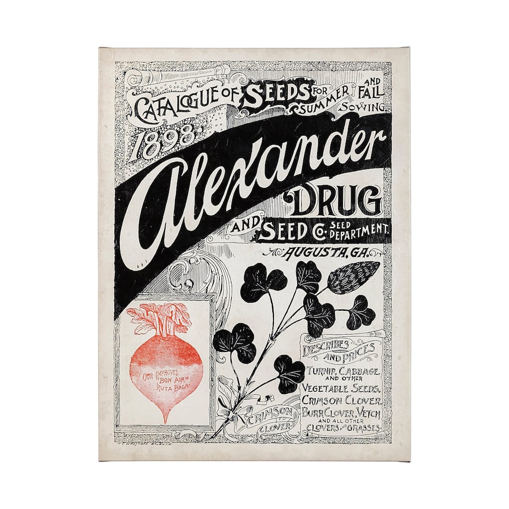Antique Seed Packet XIV (30 x 40) Canvas Art Print