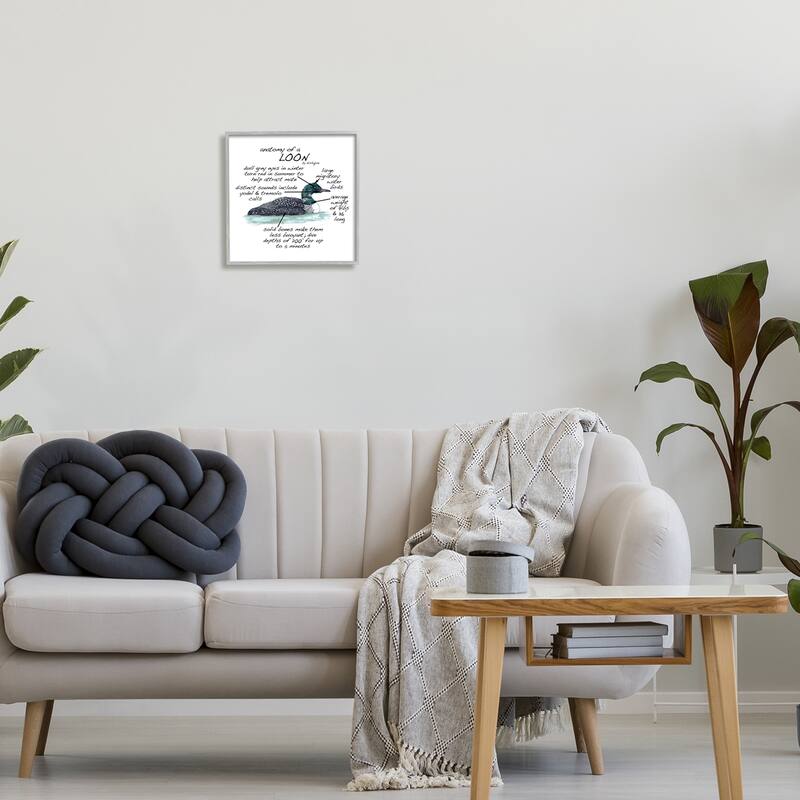 Stupell Loon Water Bird Anatomy Chart Educational Wildlife Facts Framed Wall Art, Design by Dishique - Grey