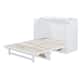 Option White