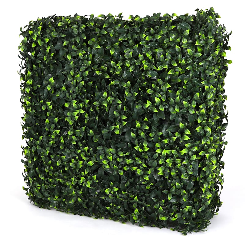 Boxwood Hedge Wall - 31" H - Gardenia
