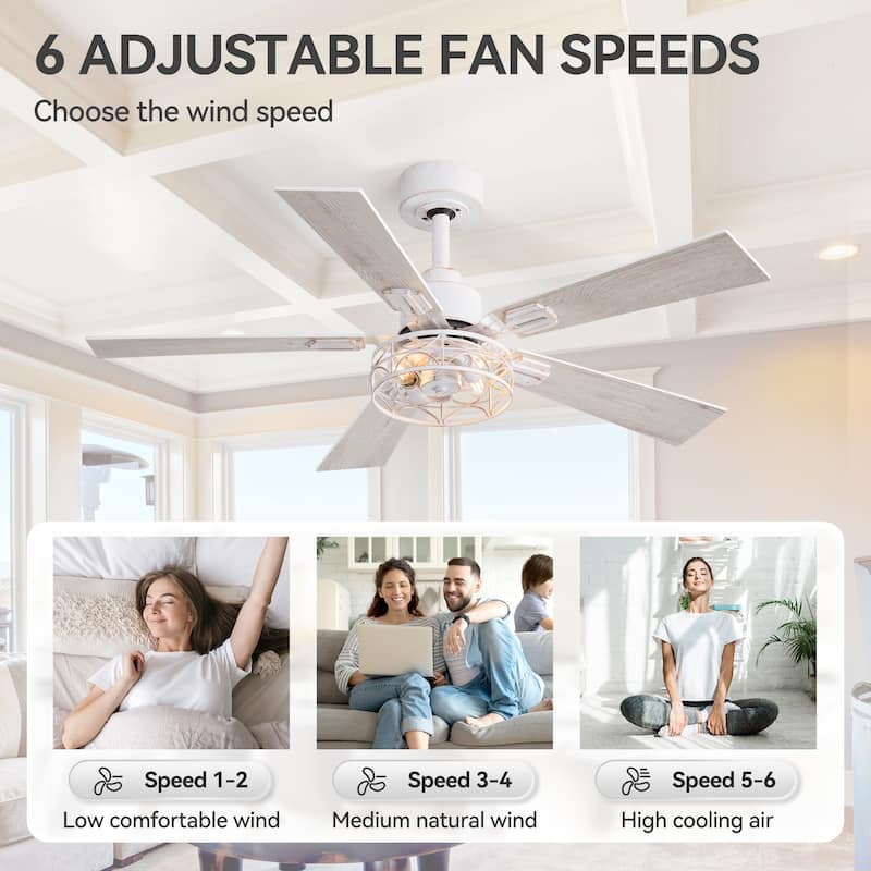 42" Reversible 5-Blade Caged Ceiling Fan with Light and Remote