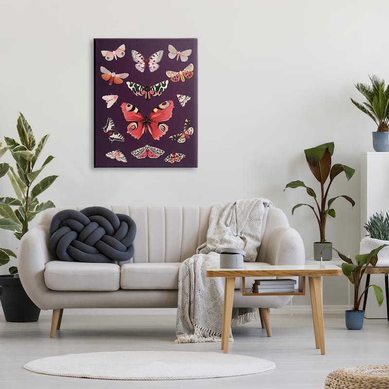 Stupell Vintage Wildlife Moths Canvas Wall Art Design by Diane Neukirch