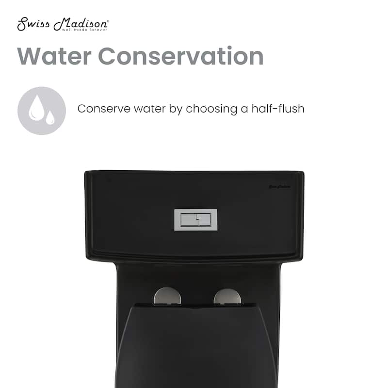 Lausanne One-Piece Elongated Toilet Dual-Flush 1.1/1.6 Gpf In Matte Black - 28.4" x 16.75" 28.65"