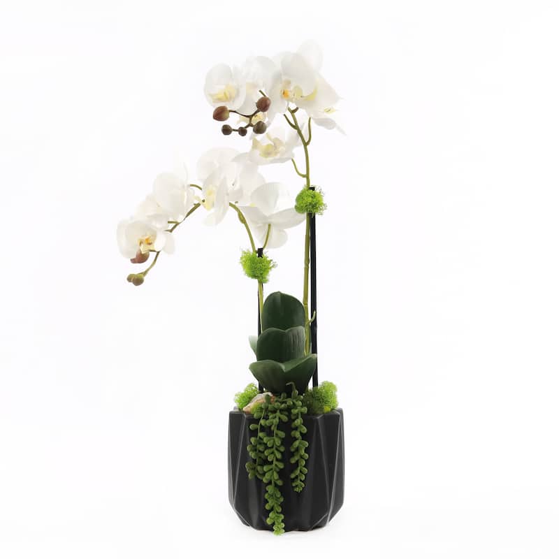Modern Cream White Faux Orchids Arrangement in Black Matte Ceramic Pot
