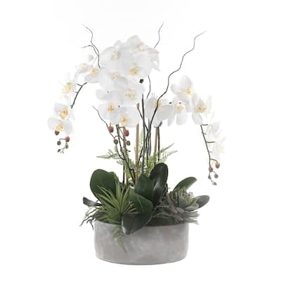 Real Touch Orchid Flower Arrangement in Stone Cement Pot - White