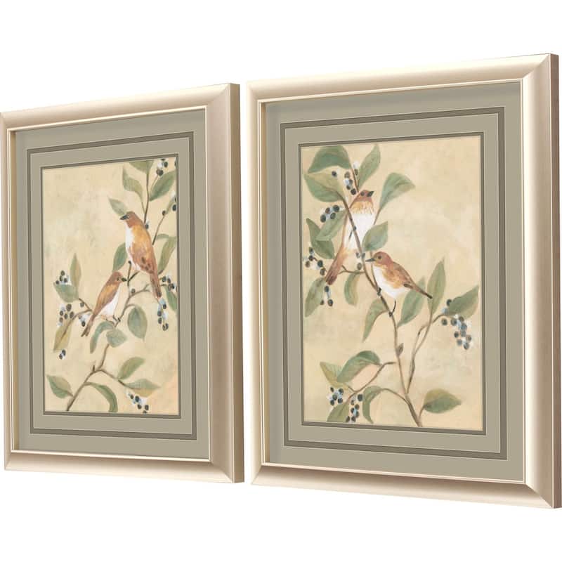 Songbird Fresco S/2 Framed Art Under Glass
