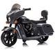 preview thumbnail 16 of 24, Ride on Motorcycle for Kids, 6V Electric Dirt Bike Grey