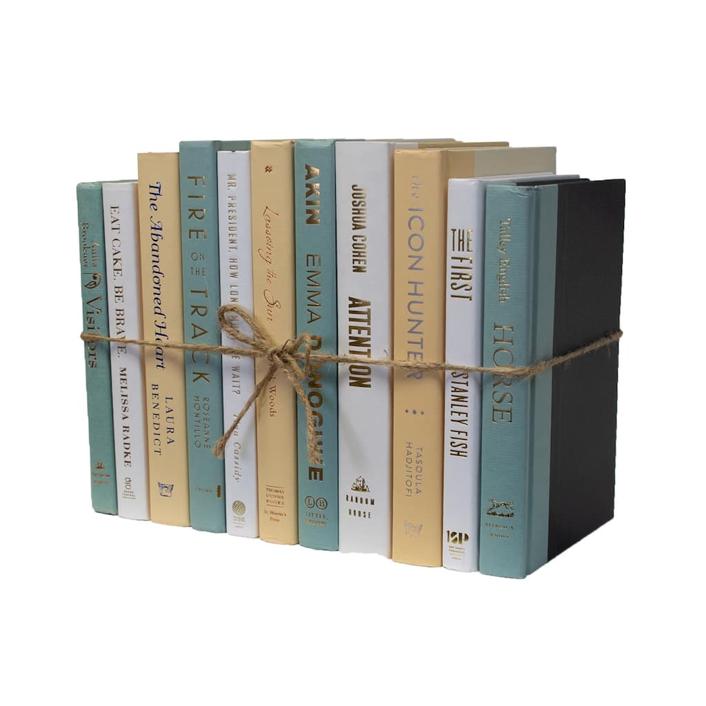 Books Blue Decorative Accessories: Lakehouse ColorPak