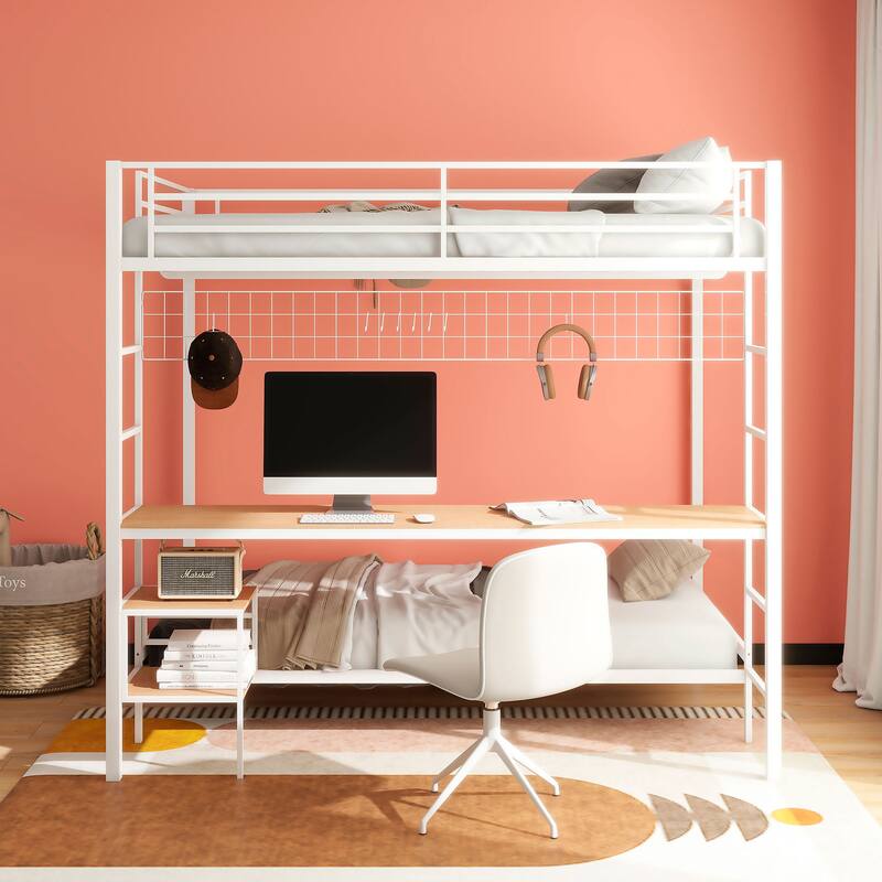 Alevera Metal Bunk Bed with Ladder