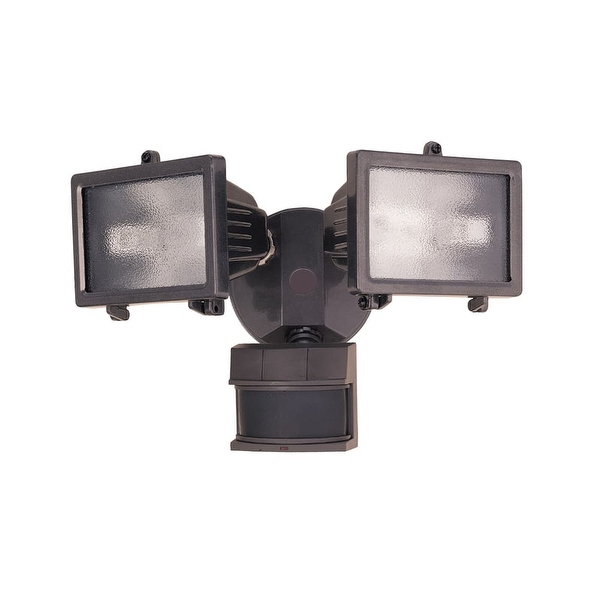 Zenith motion store security light
