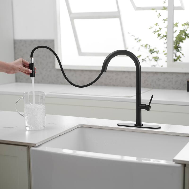 WIZ Single Handle Pull Down Sprayer Kitchen Faucet