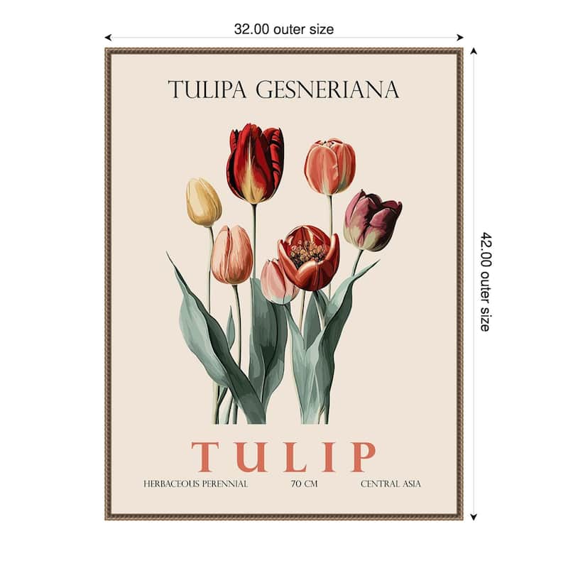Vintage Botanical Tulip Illustration by Christopher Giampietro Framed Canvas Wall Art Print - Gold - 32 x 42 in