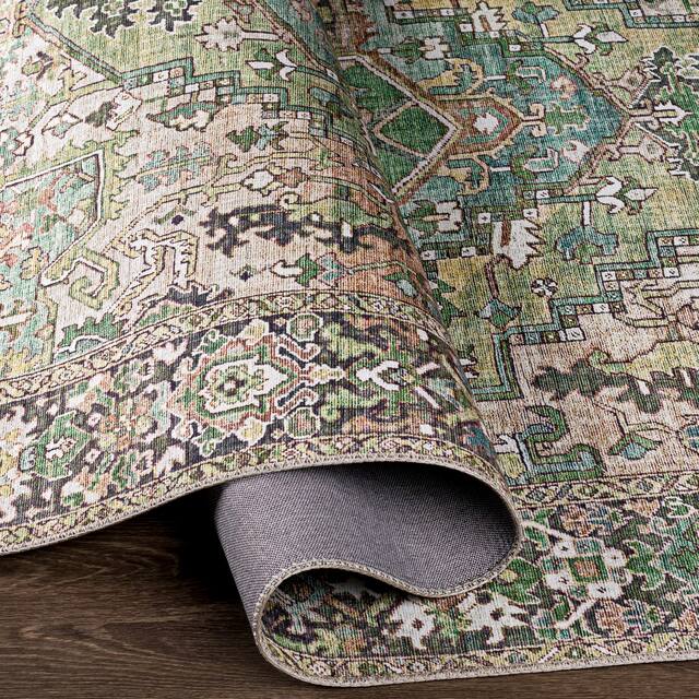 Adenia Vintage Medallion Printed Area Rug