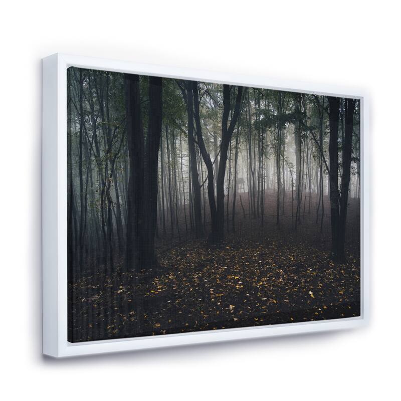 Designart "Dark Spooky Misty Wild Forest" Oversized Forest Framed Canvas Artwork Print