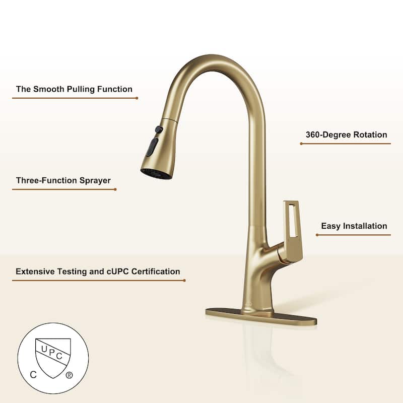Single-Handle Kitchen Sink Faucet With Pull-Out Sprayer