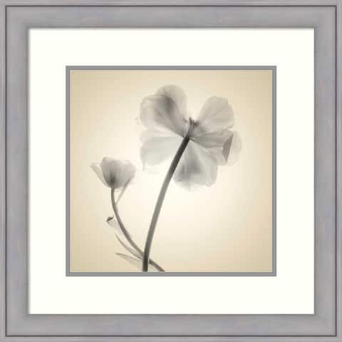 Framed Art Print Soft II by Judy Stalus Outer Size 23 x 23 inch