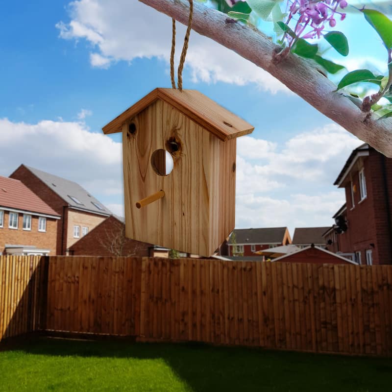 See Through Wooden Window Bird house w/ Large Suction Cups, Hanging Lanyard Rope Birdhouse - regular