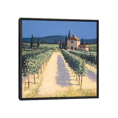iCanvas "Vineyard Shadows" by David Short Framed Canvas Print