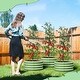 preview thumbnail 4 of 17, Galvanized Raised Garden Bed with Tomato Cages, Metal Planter Box