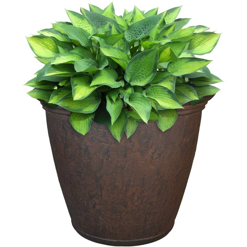 Sunnydaze Anjelica Outdoor Double-Walled Flower Pot Planter - Rust - 16"- Single - 1