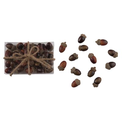 Transpac Natural Material 6.3 in. Brown Harvest Acorns with Box Display