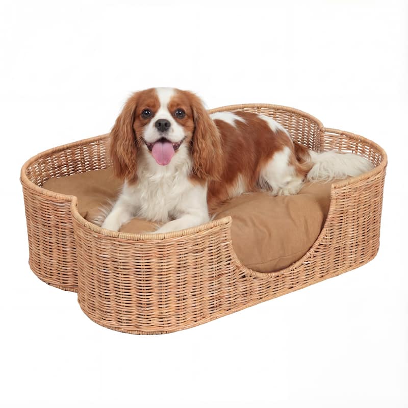 Scallop Rattan Dog Bed with Machine Washable Cushion - 27" x 18.25" - Light Brown
