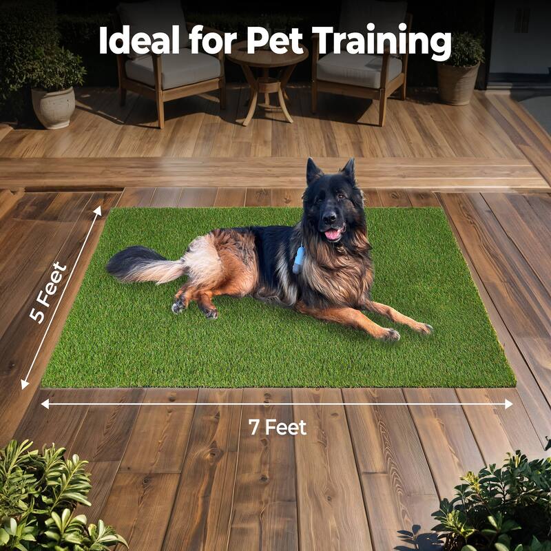 Superior Artificial Grass Lawn Turf Indoor/ Outdoor Area Rugs, Set of 6 - 1' x 1' Set (6)