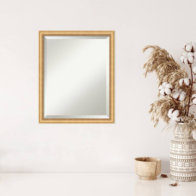 Salon Scoop Beveled Wood Framed Wall Mirror