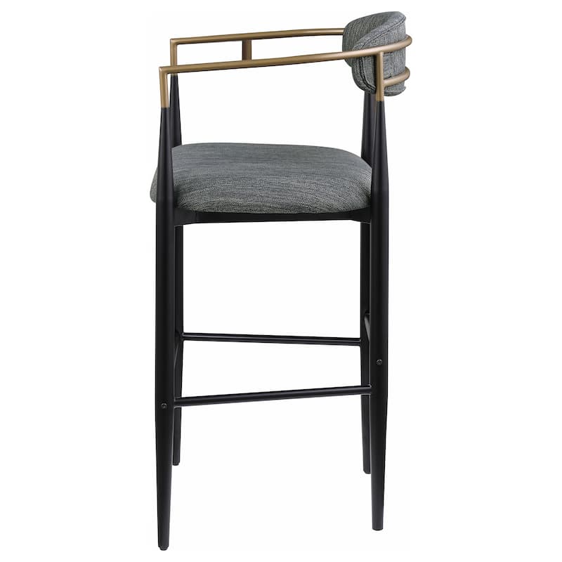 Tina Fabric Upholstered Metal Armrests Chairs (Set of 2)
