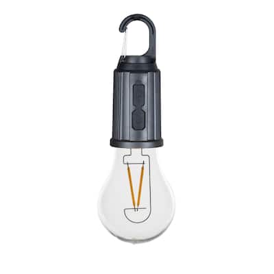 Novelty Lights Rechargeable Camp Light, Warm White LED Globe, USB-C Recharging