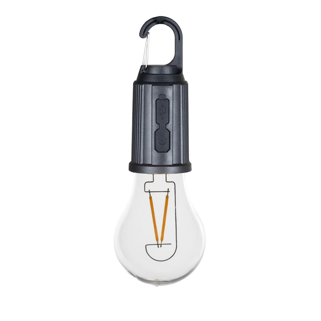 Novelty Lights Rechargeable Camp Light, Warm White LED Globe, USB-C Recharging