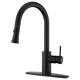 Option Matte Black UF14207