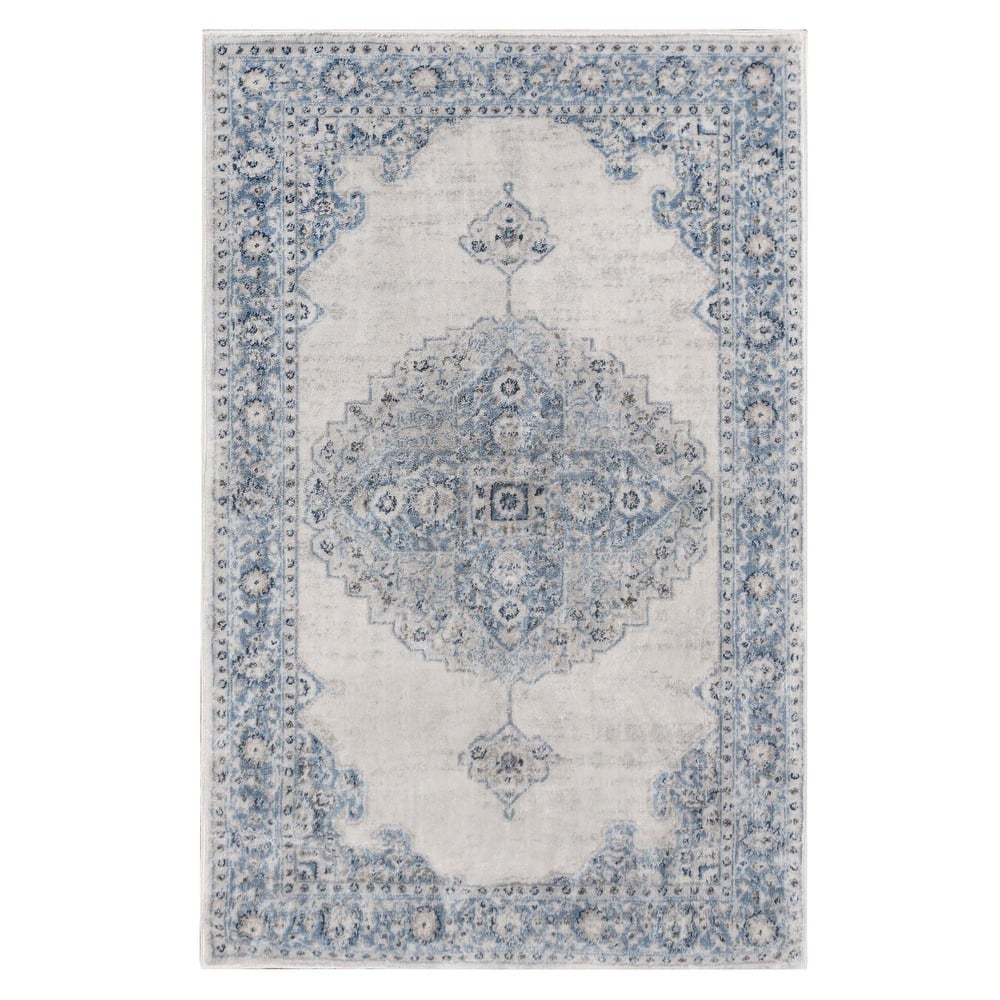 Superior Demelza Traditional Oriental Medallion Indoor Runner or Area Rug