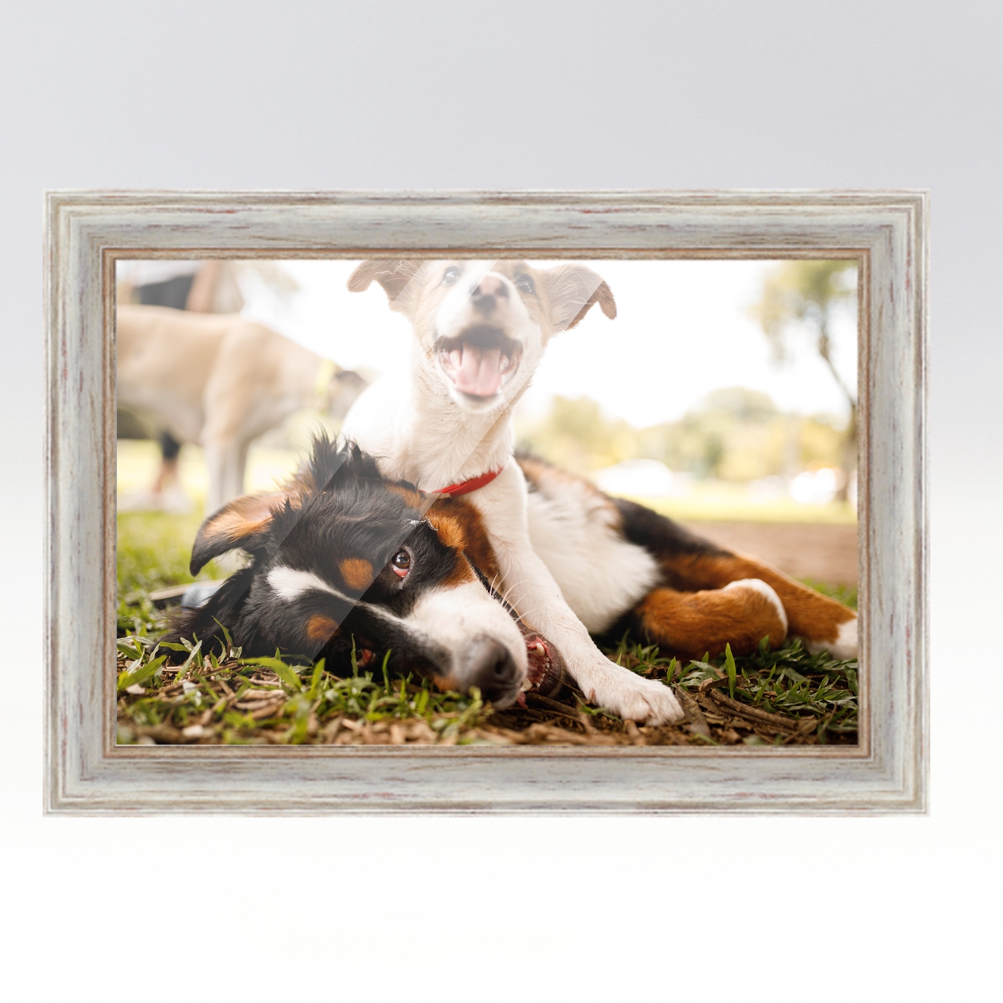18x24 White Picture Frame with 15.5x19.5 White Mat Opening for 16x20 Image,  0.75 Inch Border, UV