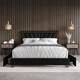 Option Black