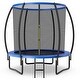 preview thumbnail 1 of 16, 10 Feet ASTM Approved Recreational Trampoline with Ladder