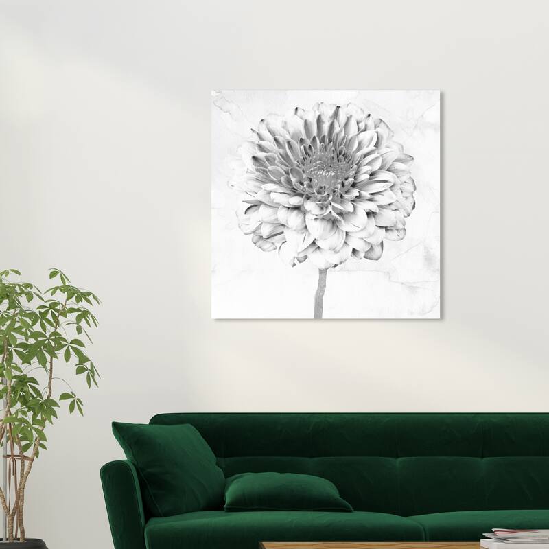 Wynwood Studio Canvas Floral and Botanical White Gray Chrysanthemum White and Farmhouse Wall Art Canvas Print - White, Black - 30 x 30