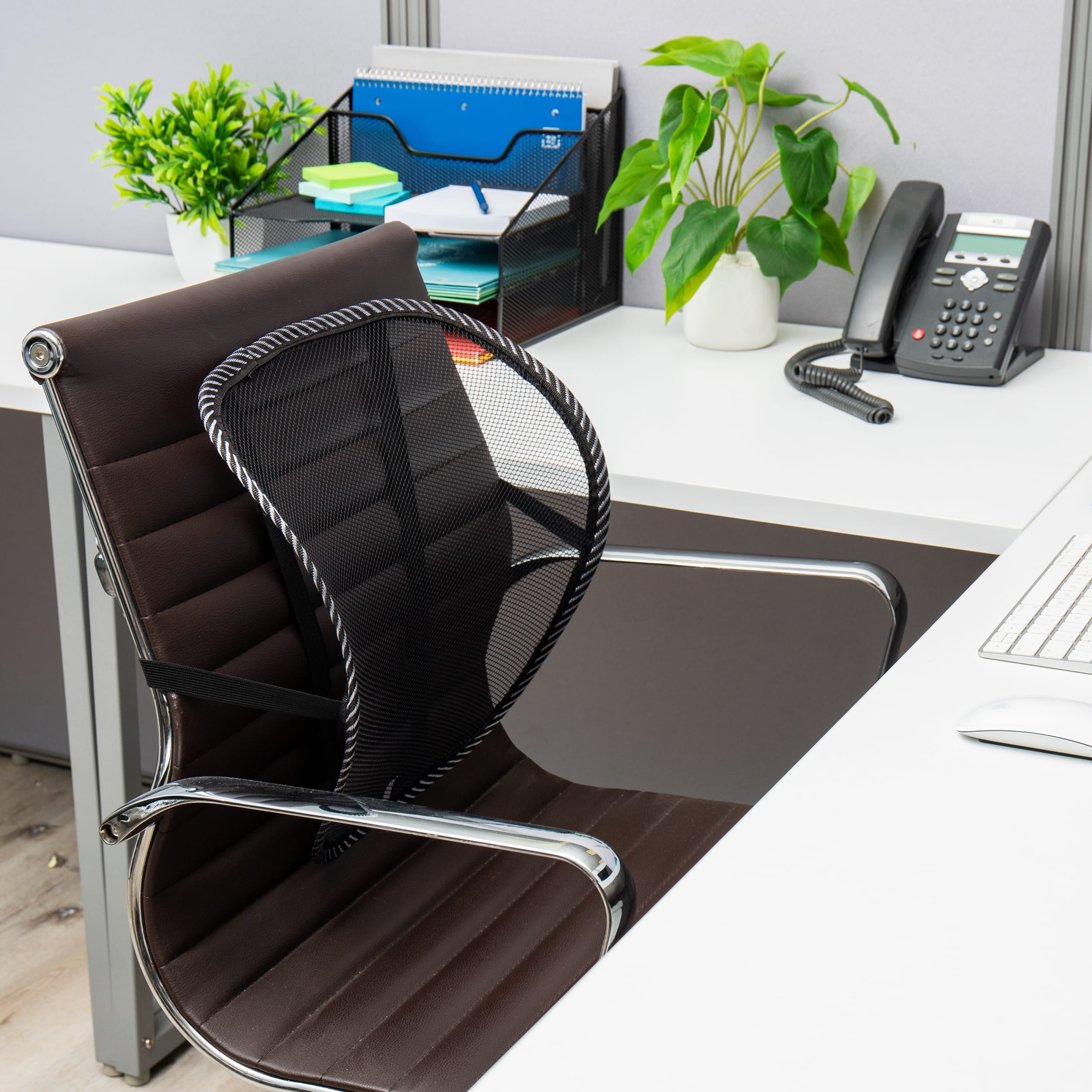 Mind Reader Harmony Collection, Ergonomic Lower Back Support, Attaches